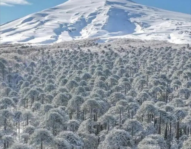 Pucon, La Capital Del Sur De Chile